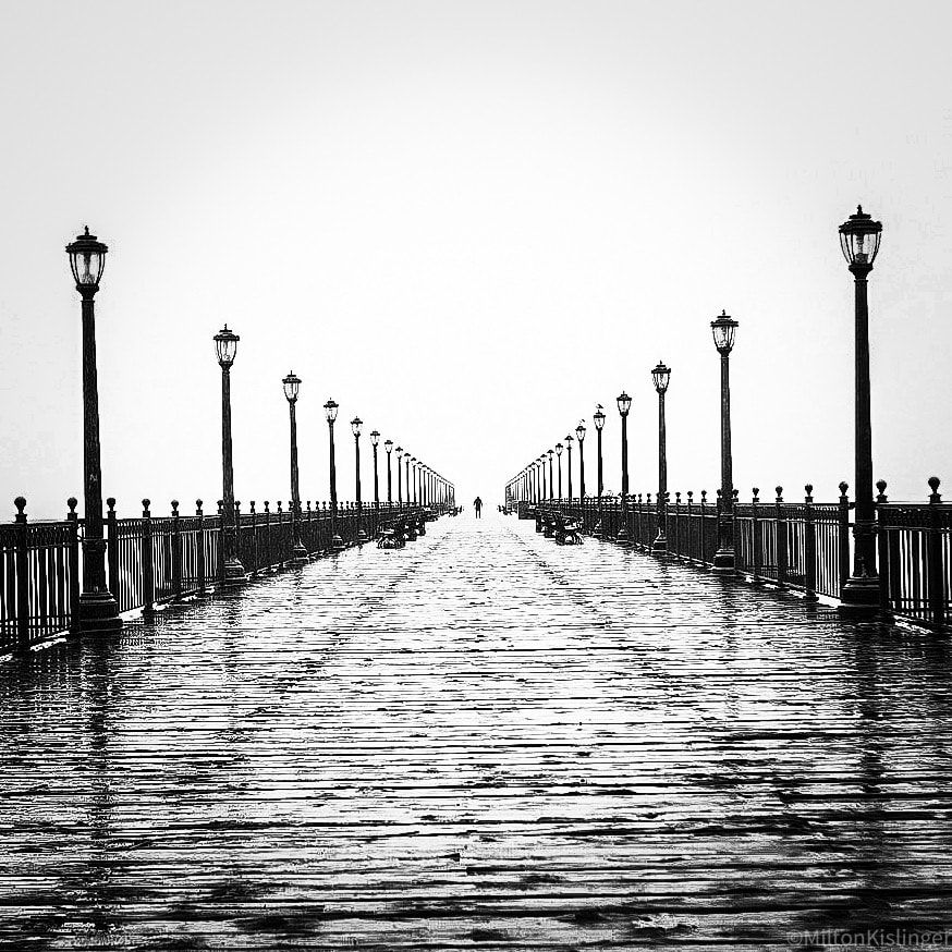 Rain-soaked pier stretching into fog with symmetrical lamp posts receding to a lone distant figure