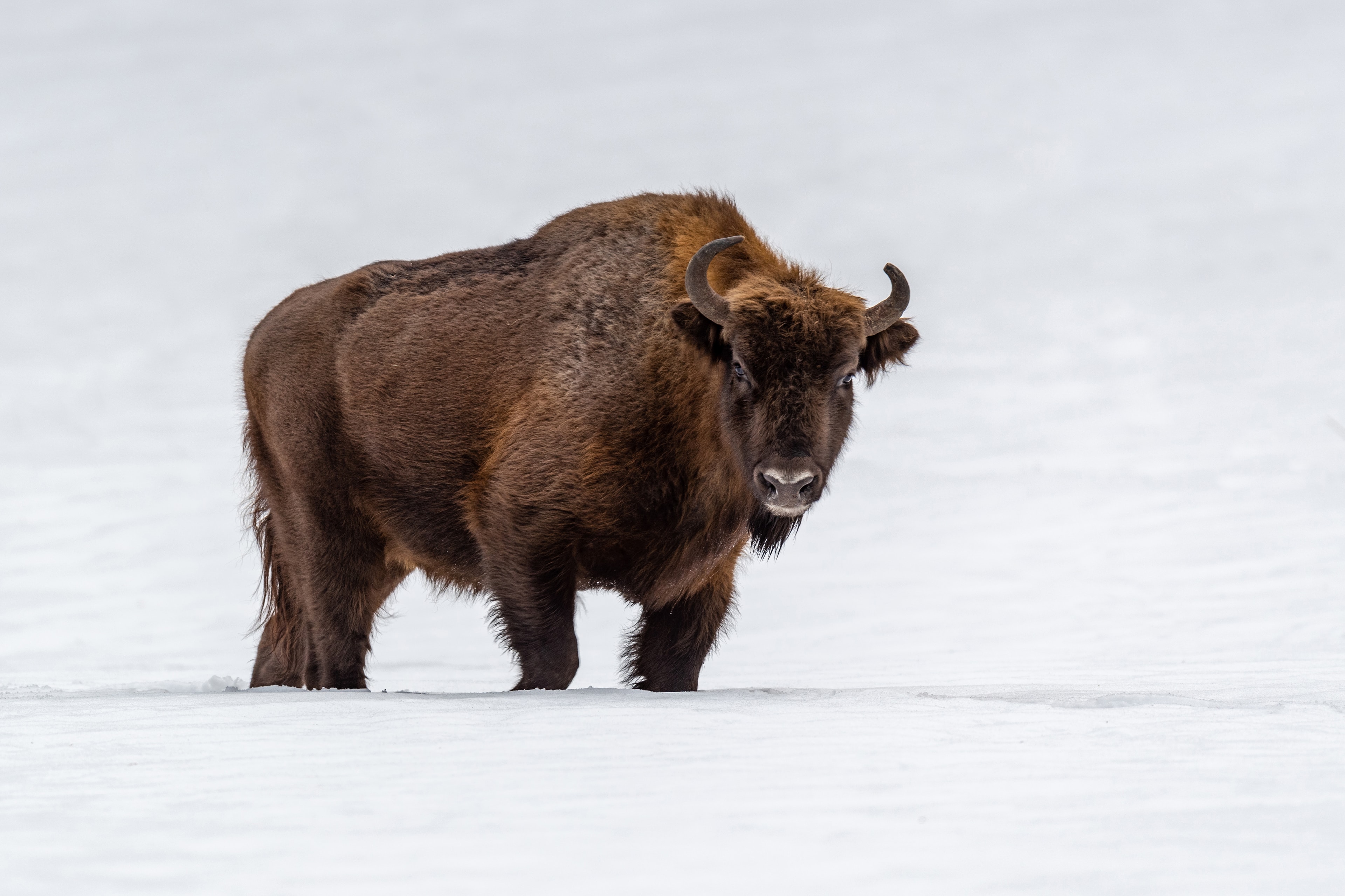 Featured fine art photograph by Milton Kislinger