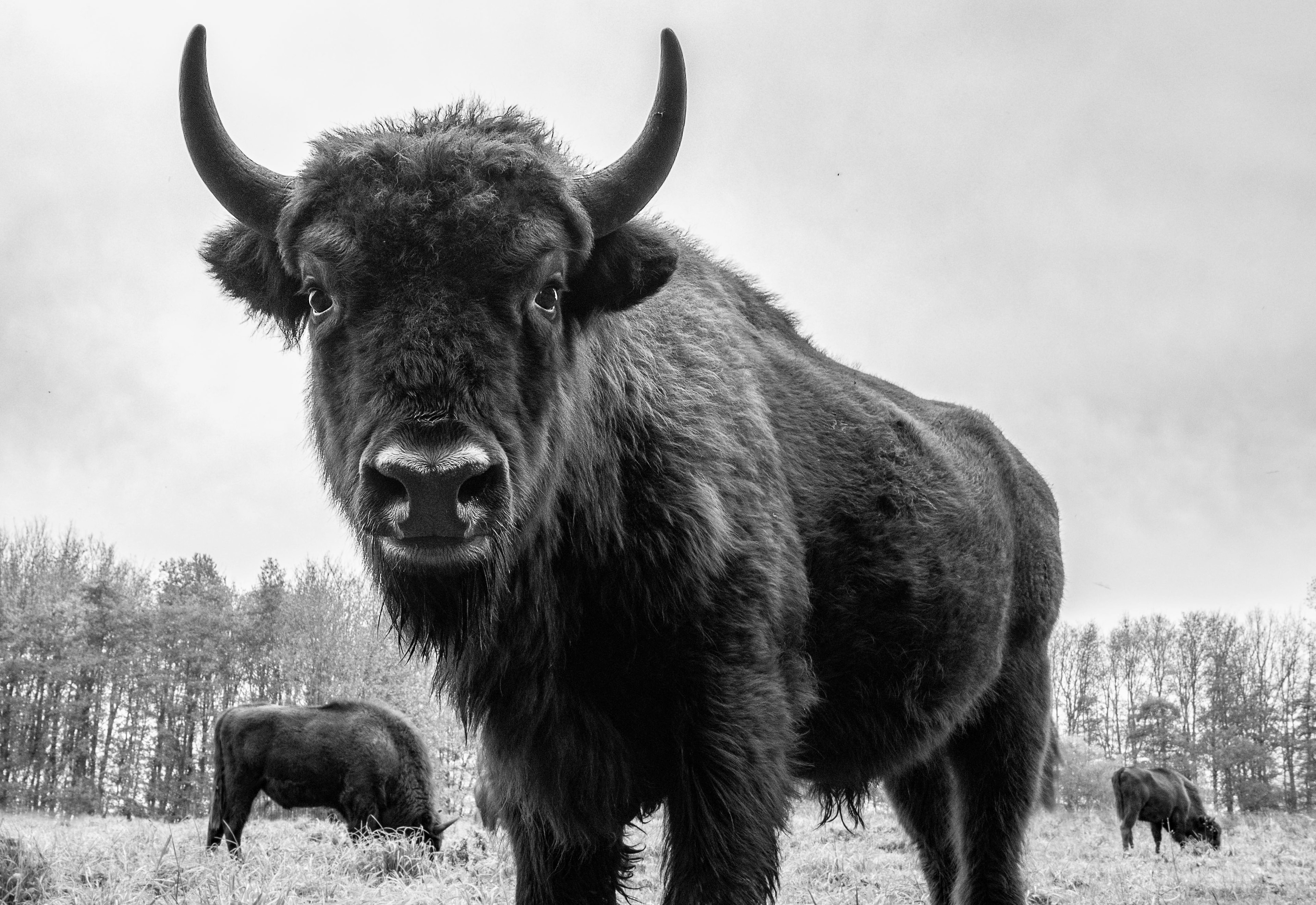 Featured fine art photograph by Milton Kislinger