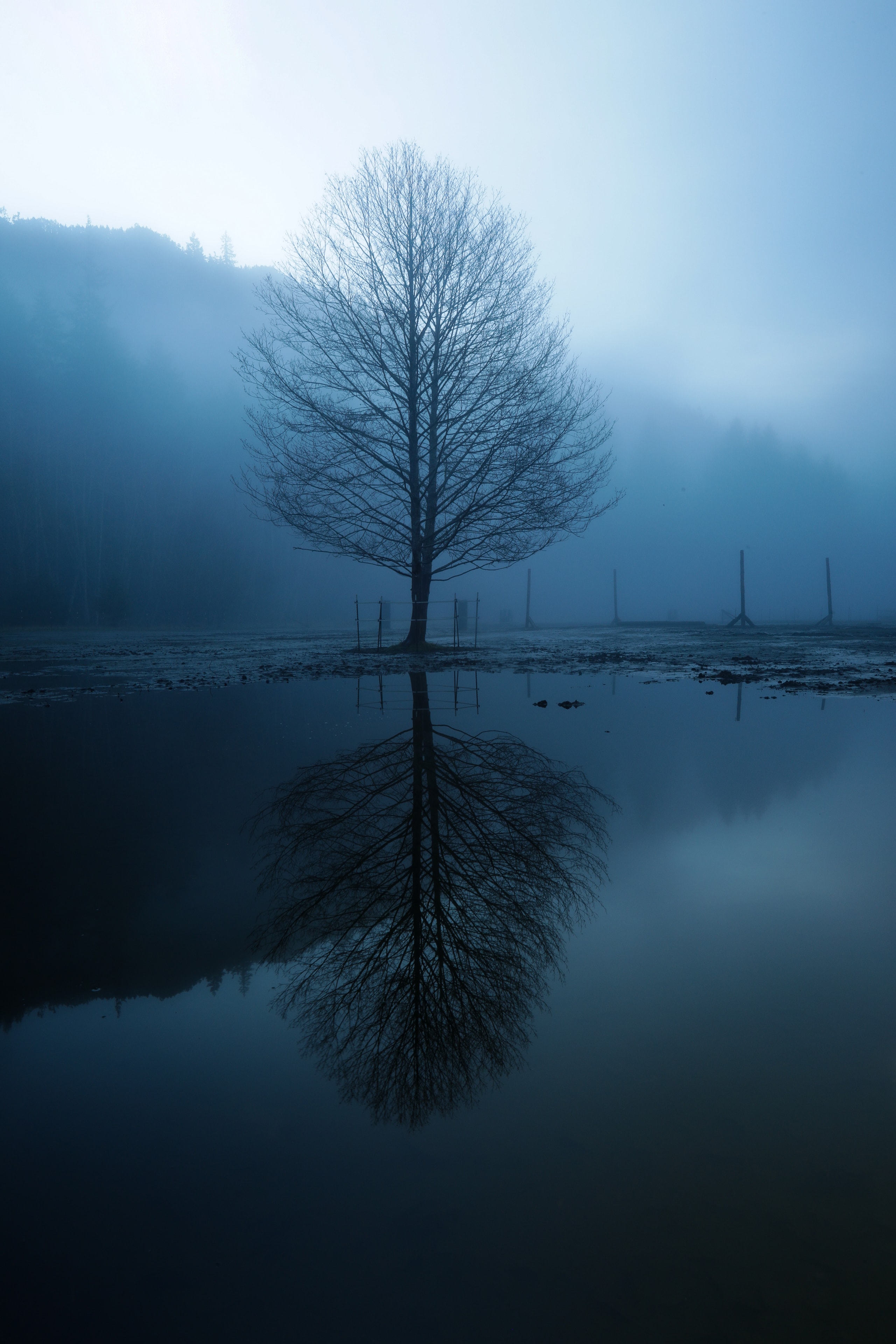 Reflections