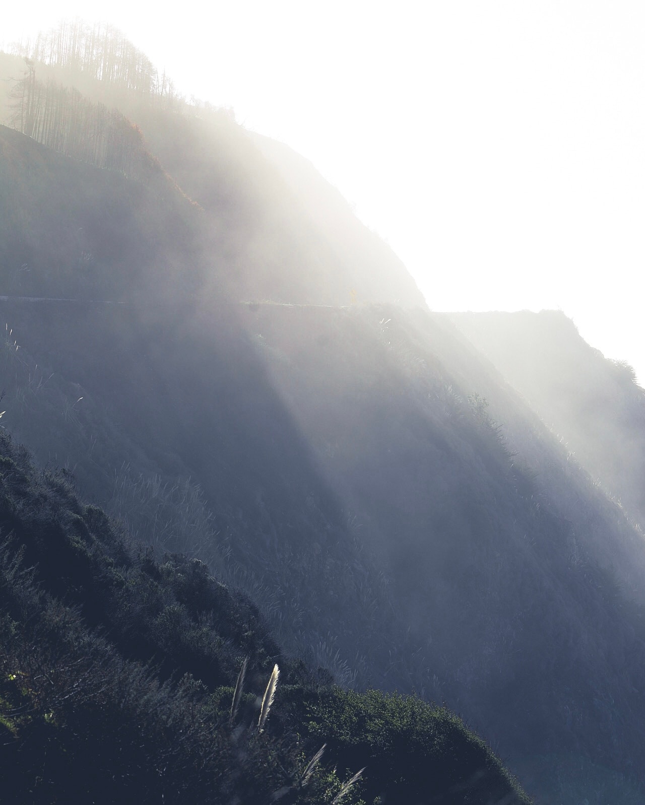 Dramatic god rays piercing through coastal mist over a hillside blanketed in wild grasses