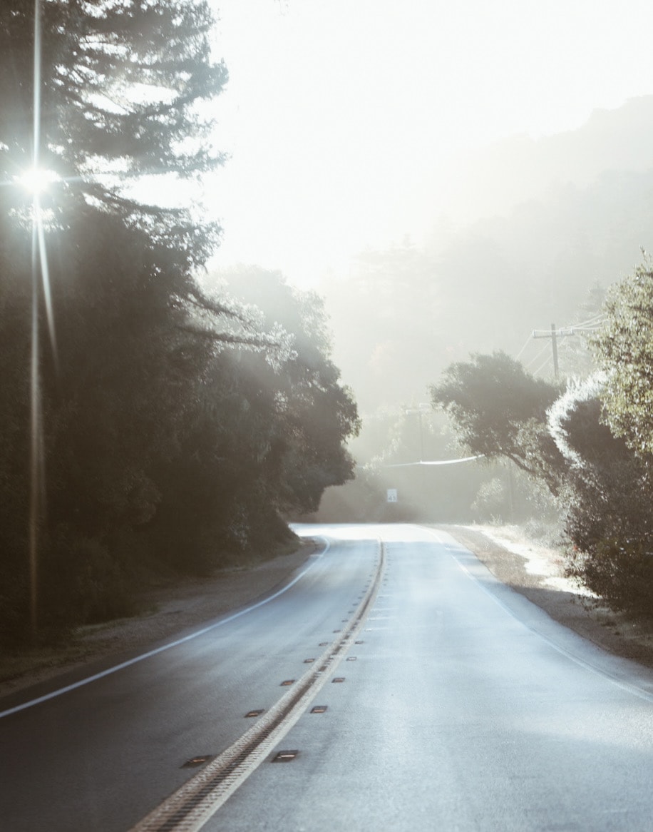 Sun-drenched winding road through misty forest with dramatic lens flare