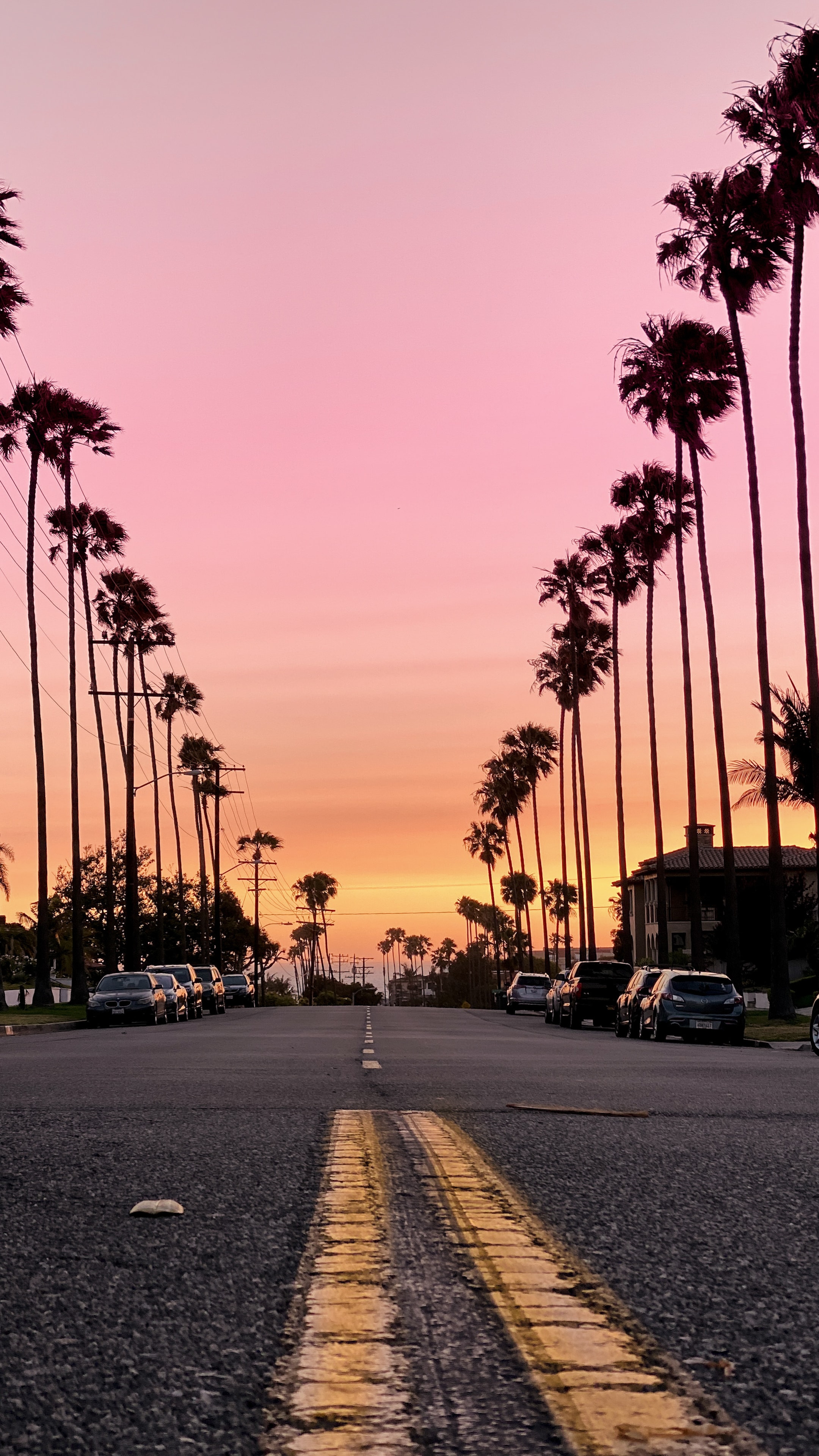 Palm tree-lined road at golden hour sunset with pink and orange sky