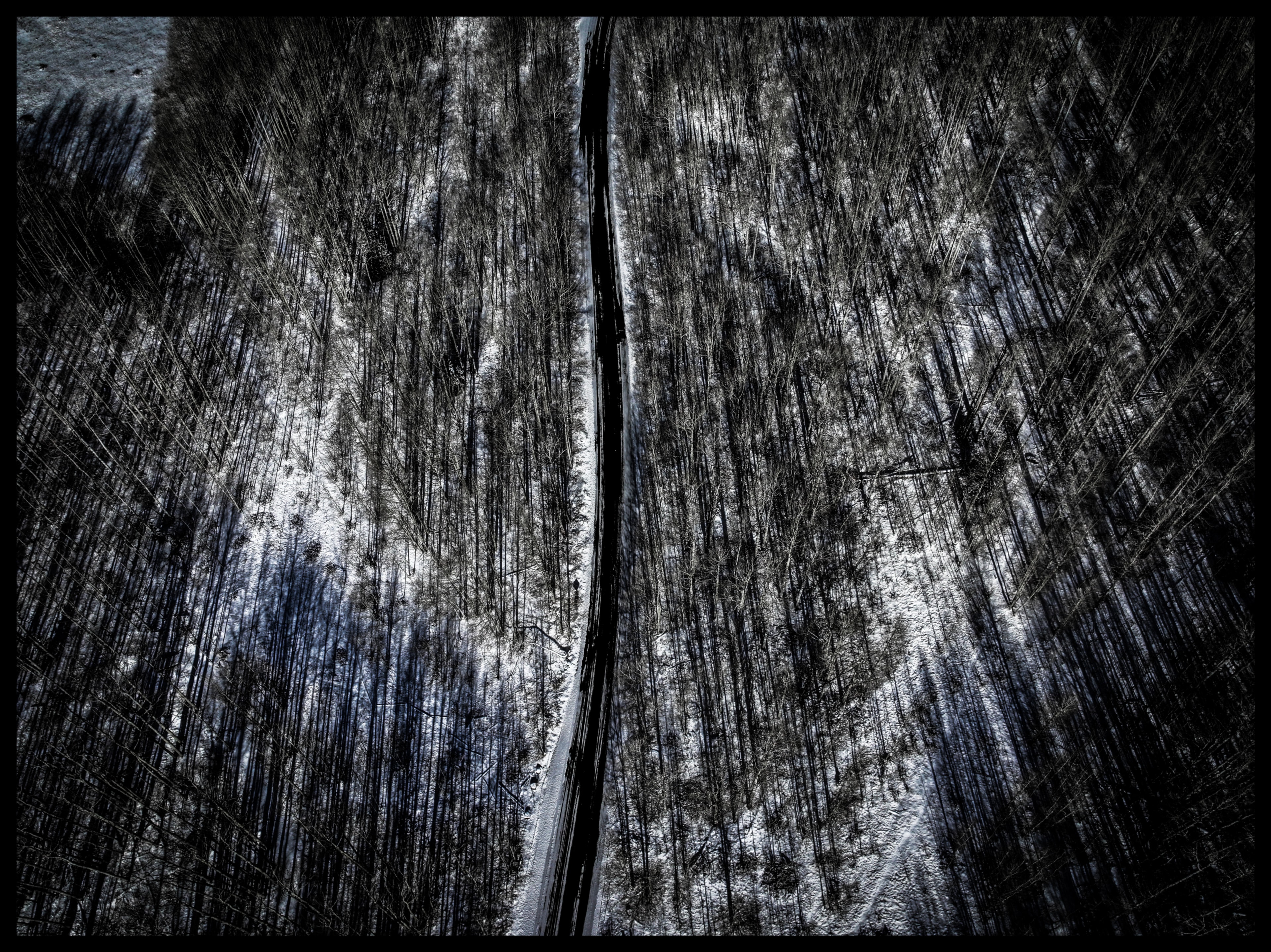 Aerial bird's-eye view of a lone road cutting straight through a snow-dusted dark forest