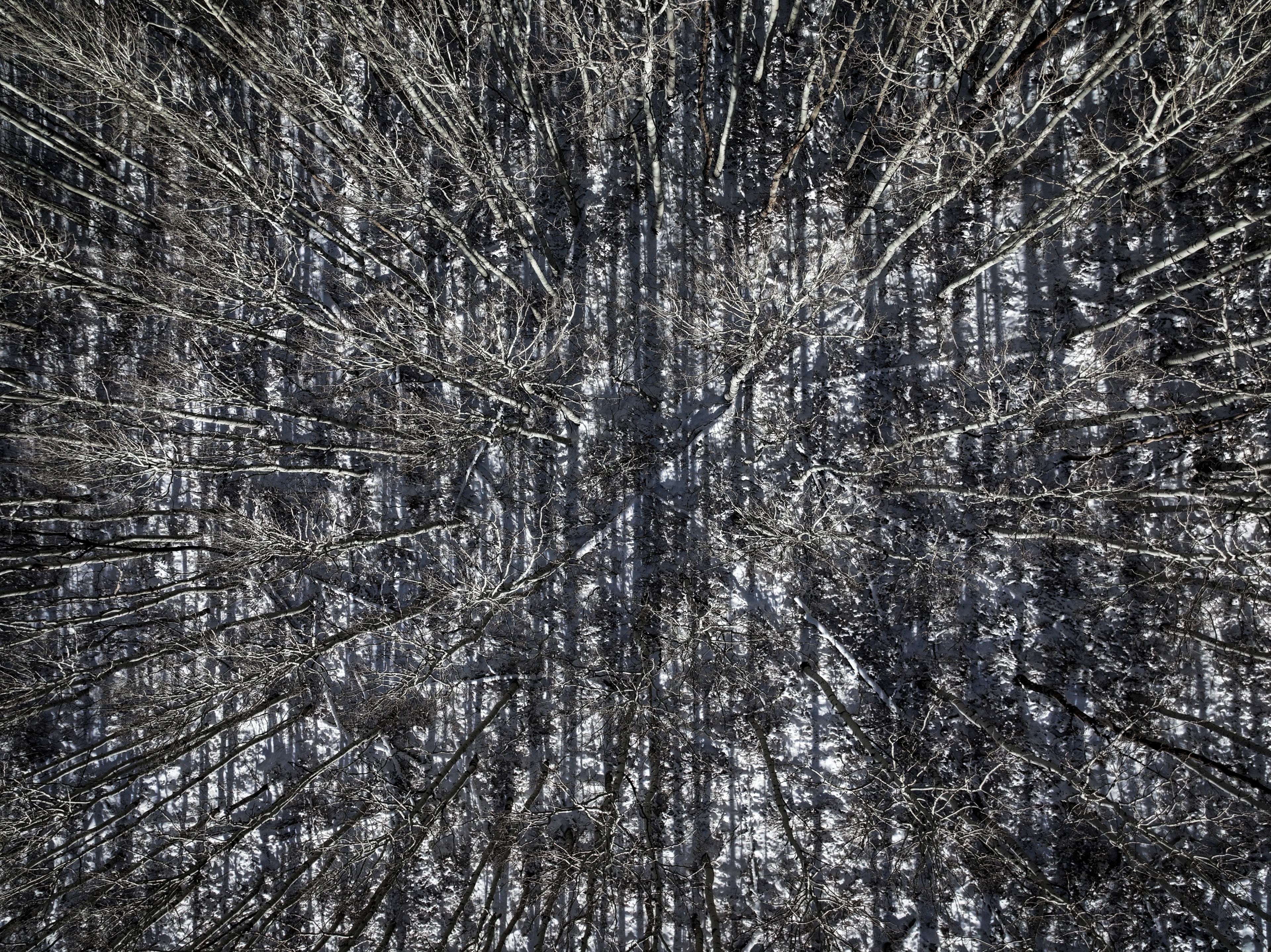 Winterland aerial winter forest landscape
