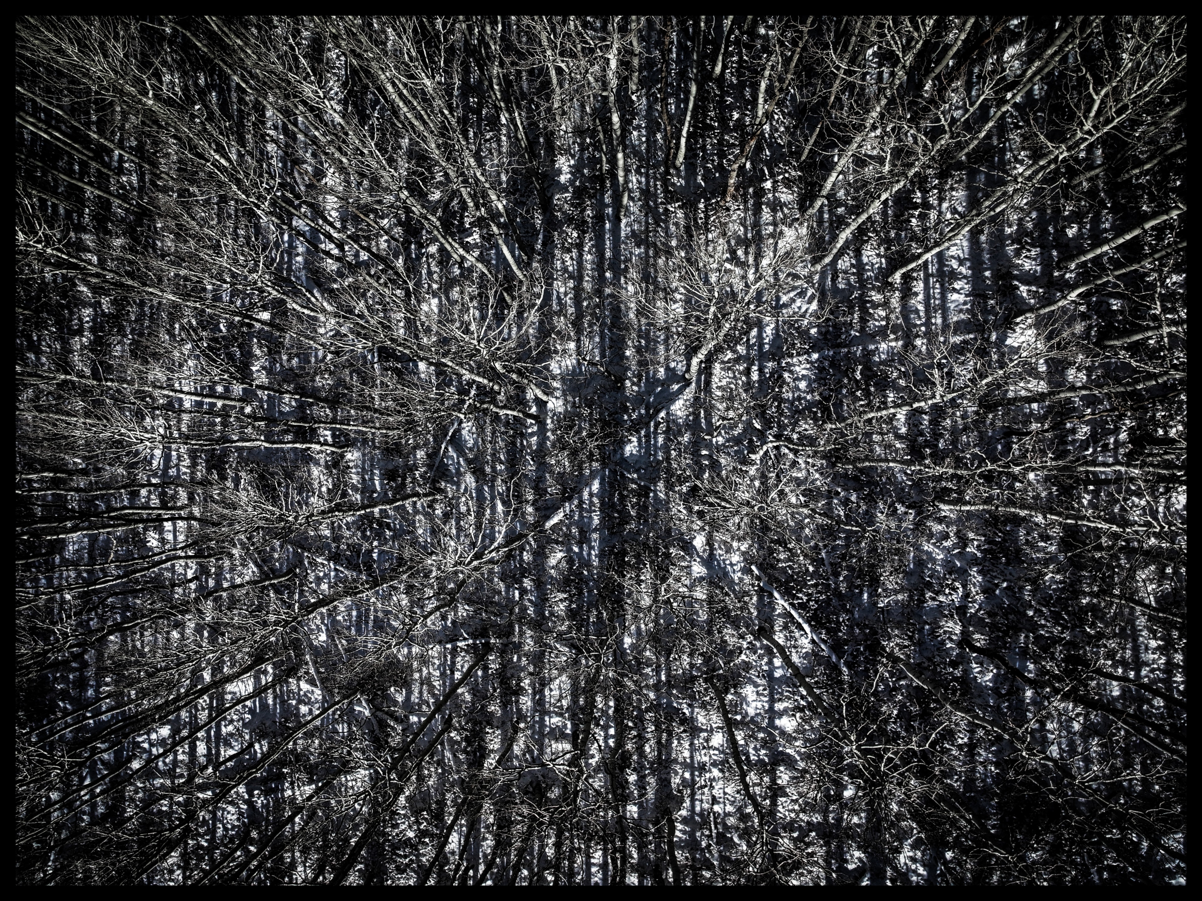 Winterland aerial winter forest landscape