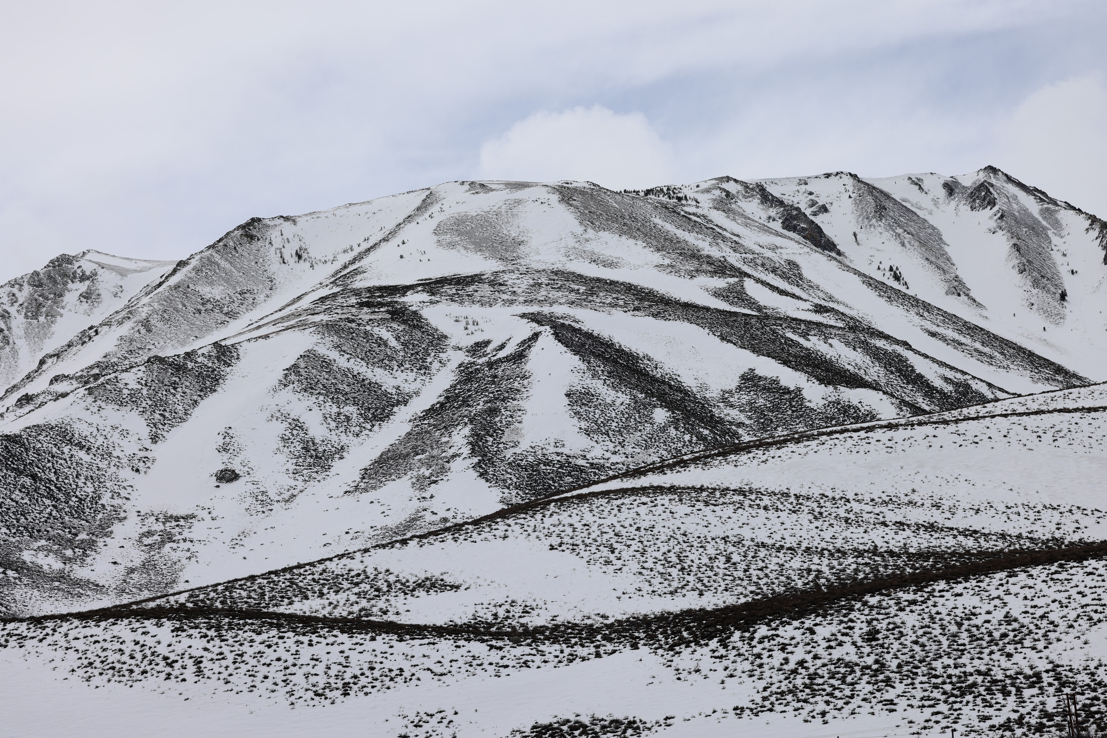 Broad snow-dusted mountain under overcast sky with sparse evergreen trees on the slopes
