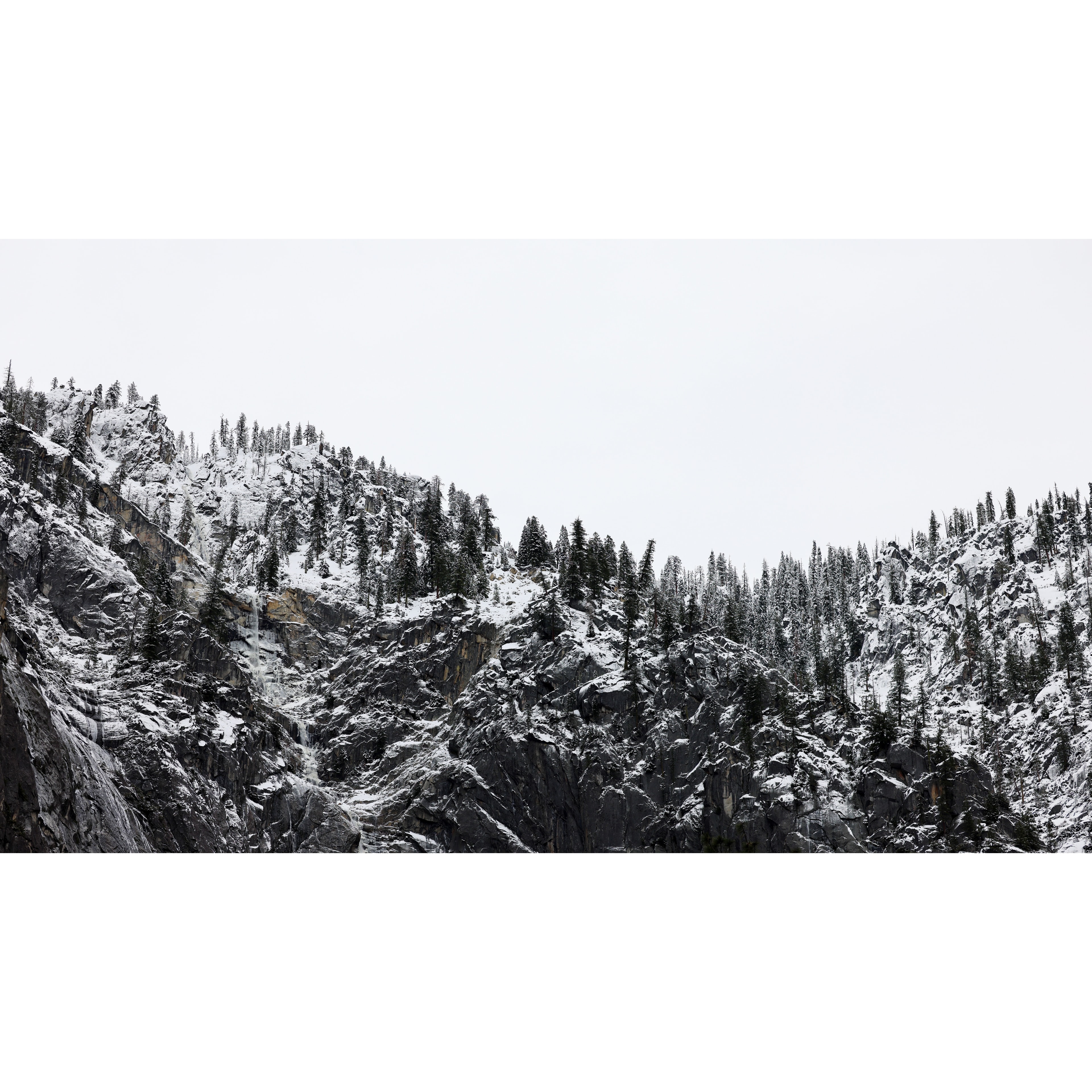 Snow-dusted dark granite cliffs with evergreen pines clinging to rocky faces under a pale grey winter sky