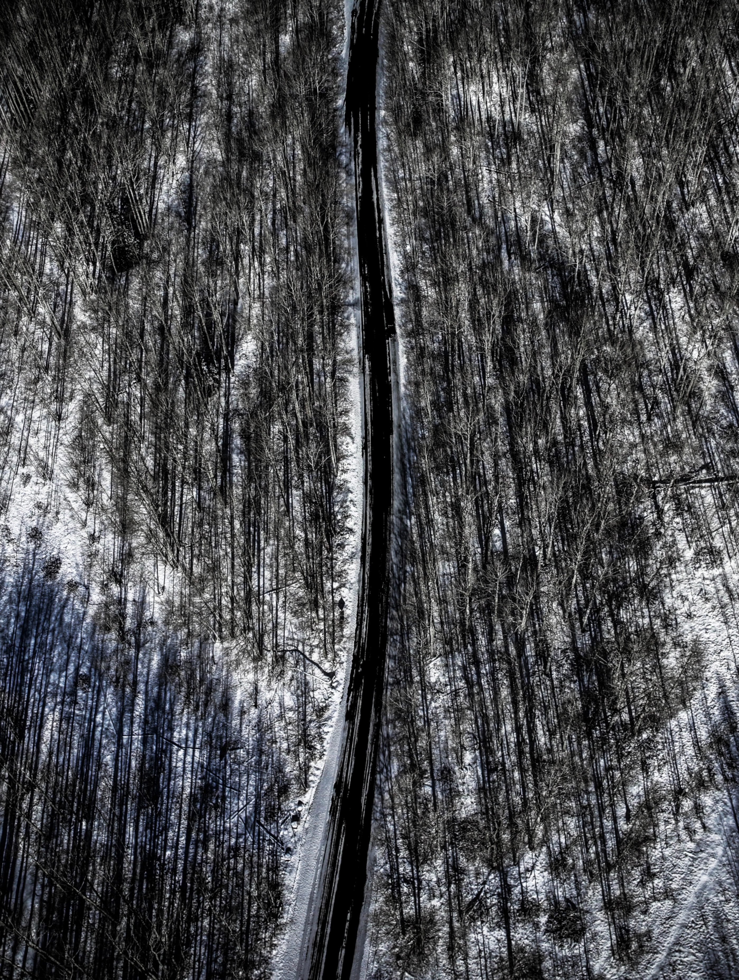 Winterland